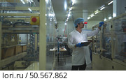 The production control supervisor inspects and controls the operation of machines in the manufacturing line of a canned fish industry. Стоковое фото, агентство Ingram Publishing / Фотобанк Лори