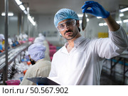 Raw material quality inspectors evaluate and inspect fish pieces before they enter the canned fish production process. Стоковое фото, агентство Ingram Publishing / Фотобанк Лори