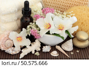 Rose syringa, elderflower and spirea flower blossom, aromatherapy essential oil bottle, gold spa stones, cream towels, exfloiating scrub, natural sponge and sea shells over bamboo. Стоковое фото, агентство Ingram Publishing / Фотобанк Лори