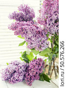 Branches of flowering purple lilac syringa in a glass jar on light table. Coloring and processing photos in vintage style with soft selective focus. Beautiful spring floral background. Стоковое фото, агентство Ingram Publishing / Фотобанк Лори