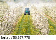 Tractor sprays insecticide in apple orchard. Стоковое фото, агентство Ingram Publishing / Фотобанк Лори