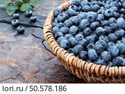 Fresh picked organic blueberries  in a woven basket on a rustic slate background. Shallow depth of field. Стоковое фото, агентство Ingram Publishing / Фотобанк Лори
