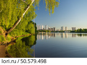 Русло реки Москвы в верхнем течении, вид на жилые комплексы "City Bay" и "Левел Стрешнево" Стоковое фото, фотограф Александр К / Фотобанк Лори
