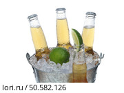 Close up of Three Beer Bottles in bucket of ice with condensation and one bottle in front with lime wedge horizontal composition over white background. Стоковое фото, агентство Ingram Publishing / Фотобанк Лори