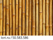 old bamboo fence background wood decay easily. Стоковое фото, агентство Ingram Publishing / Фотобанк Лори