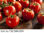 Organic Red Ripe Tomatoes on the Vine. Стоковое фото, агентство Ingram Publishing / Фотобанк Лори
