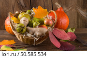 pumpkin apfel basket. Стоковое фото, агентство Ingram Publishing / Фотобанк Лори