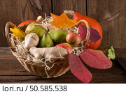 pumpkin apfel basket. Стоковое фото, агентство Ingram Publishing / Фотобанк Лори
