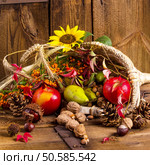 Cornucopia. Стоковое фото, агентство Ingram Publishing / Фотобанк Лори