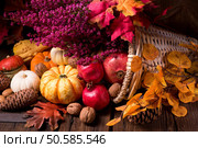 Cornucopia. Стоковое фото, агентство Ingram Publishing / Фотобанк Лори