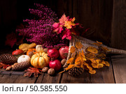 Cornucopia. Стоковое фото, агентство Ingram Publishing / Фотобанк Лори