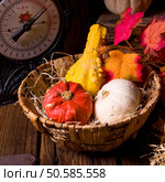 Cornucopia. Стоковое фото, агентство Ingram Publishing / Фотобанк Лори
