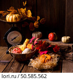 Cornucopia. Стоковое фото, агентство Ingram Publishing / Фотобанк Лори