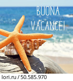 closeup of a yellow starfish and a conch on a weathered tree trunk on the beach, and the text buona vacance, happy vacation in italian. text buona vacance, happy vacation in italian. Стоковое фото, агентство Ingram Publishing / Фотобанк Лори