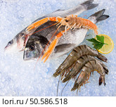 Fresh seafood on crushed ice, close-up.. Fresh seafood on crushed ice. Стоковое фото, агентство Ingram Publishing / Фотобанк Лори