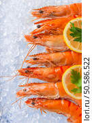 Fresh prawns on crushed ice, close-up.. Fresh prawns on crushed ice. Стоковое фото, агентство Ingram Publishing / Фотобанк Лори
