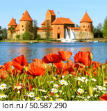 Beautiful landscape with poppies and daisies on a background of the medieval castle in Trakai, Lithuania. Стоковое фото, агентство Ingram Publishing / Фотобанк Лори