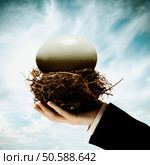 Businessman’s hand holding nest with large egg. 24316775. Стоковое фото, агентство Ingram Publishing / Фотобанк Лори