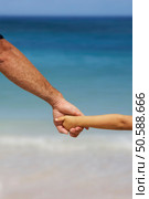 Father and child holding hands at beach. 24320163. Стоковое фото, агентство Ingram Publishing / Фотобанк Лори