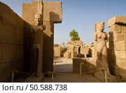 Egypt-Copyright-Sinidex-Solutions-Inc. Стоковое фото, агентство Ingram Publishing / Фотобанк Лори