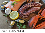 many types of fish on the table. We find lobster, sardines, clams, Octopus, and salmon. Стоковое фото, агентство Ingram Publishing / Фотобанк Лори