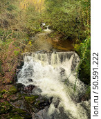 A powerful waterfall crashes down among mossy rocks and lush greenery near Cascata do Outeiro. The rushing water creates a dynamic and beautiful scene in Oliveira de Azemeis. Стоковое фото, агентство Ingram Publishing / Фотобанк Лори