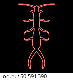 Neon earwig red color vector illustration image flat style light. Neon earwig red color vector illustration image flat style. Стоковая иллюстрация, агентство Ingram Publishing / Фотобанк Лори