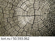 Rounded top of wooden stanchion in outdoor parking lot. Стоковое фото, агентство Ingram Publishing / Фотобанк Лори