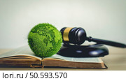 the green world is in the book There is a judging hammer behind it. The concept of global natural law and environmental judgment. Стоковое фото, агентство Ingram Publishing / Фотобанк Лори