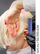 Combing hair with a comb during dyeing white hair of a young blonde woman in hairdresser salon. Combing hair with a comb during dyeing white hair of a young blonde woman in hairdresser salon. Стоковое фото, агентство Ingram Publishing / Фотобанк Лори