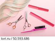 Scissors, combs, hair iron and other hairdresser’s accessories and strand of blonde hair on pink background. Flat lay with space for text. Hairdresser service. Beauty salon service.. Scissors, combs and other hairdresser’s accessories and strand of blonde hair on pink background. Flat lay with space for text. Hairdresser service. Beauty salon service. Стоковое фото, агентство Ingram Publishing / Фотобанк Лори