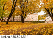 Autumn landscape in Vyborg with a view of the round tower from Lenin Park. Стоковое фото, фотограф Владимир Ушаров / Фотобанк Лори