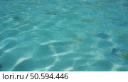Crystal clear water glistening in swimming pool. Стоковое AI-видео, аниматор Юрий Поздников / Фотобанк Лори