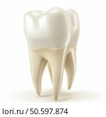 Healthy human tooth shining on white background representing dental hygiene. Стоковое AI-изображение, AI-художник Иван Рябоконь / Фотобанк Лори