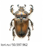 Euchirus dupontianus beetle showing iridescent copper and gold elytra on white background. Стоковое AI-изображение, AI-художник Иван Рябоконь / Фотобанк Лори