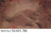 Aerial top view of Atlas Mountains in Morocco (2023 год). Стоковое видео, видеограф Михаил Коханчиков / Фотобанк Лори