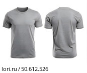 This versatile grey t-shirt features a simple design perfect for casual outings or lounging at home. Its comfortable fit makes it an ideal choice for any activity or occasion. Стоковое AI-изображение, AI-художник Ольга Игнашина / Фотобанк Лори