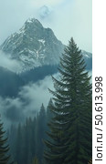 Moody and spooky cinematic forest pass by window. Clouds and fog on mountain cover forest valley. Majestic woods on autumn or winter day in highlands. Стоковое AI-видео, аниматор Sergey Grishin / Фотобанк Лори