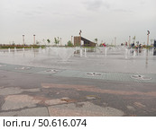 Светомузыкальный фонтан в Линейном парке в Санкт-Петербурге Васильевский остров. Редакционное фото, фотограф Анна Николаева / Фотобанк Лори