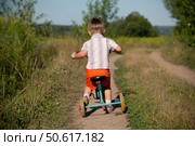 Boy rides a tricycle on a country road in summer. Стоковое фото, фотограф Дмитрий Киселёв / Фотобанк Лори