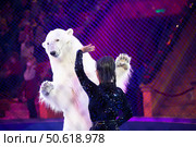 January 09, 2021 Belarus. Minsk. State Circus. A trainer performs in the arena with a polar bear. Стоковое фото, фотограф Лазаренко Светлана / Фотобанк Лори