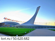 The cup Olympic flame "Firebird" (2014 год). Редакционное фото, фотограф Александр Карпенко / Фотобанк Лори