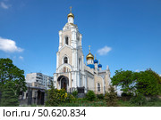 Церковь Казанской иконы Божией Матери (новая). Ростов-на-Дону. Редакционное фото, фотограф Анна Карасева / Фотобанк Лори