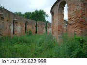 Усадьба П.В. Завадовского. Редакционное фото, фотограф Станислав Смельчук / Фотобанк Лори