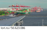 Tokyo, Japan - Oct 2 2024, panoramic view of docks with cranes and a moored giant cargo ship loaded with containers, in foreground is signage with word Tokyo on roof of Tokyo cruise port, Tokyo, Japan. Редакционное видео, видеограф Сергей Богомяко / Фотобанк Лори