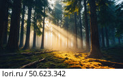 Sunbeams filtering through foggy forest at dawn. Стоковое AI-изображение, AI-художник Юрий Поздников / Фотобанк Лори
