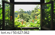 Scenic view of lush greenery through open windows in tropical setting. Стоковое AI-видео, аниматор Андрей Бажанов / Фотобанк Лори