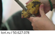 Slow-motion close-up of women's hands peeling large, dirt-covered potatoes with an old metal knife, showcasing rustic food preparation. Стоковое видео, видеограф Татьяна Степанищева / Фотобанк Лори