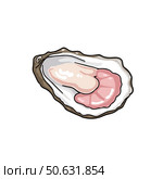 Oyster on shell, on white background, fresh, gourmet delicacy, hand-drawn style, seafood concept. Стоковое AI-изображение, AI-художник Елена Скрипкина / Фотобанк Лори