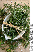 Salicornia is a genus of succulent, salt tolerant, salt substitute. Редакционное фото, фотограф Лика / Фотобанк Лори